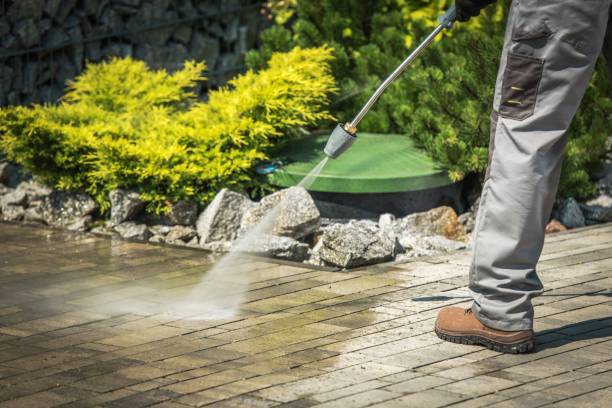Best Animal Enclosure Cleaning  in Pacheco, CA