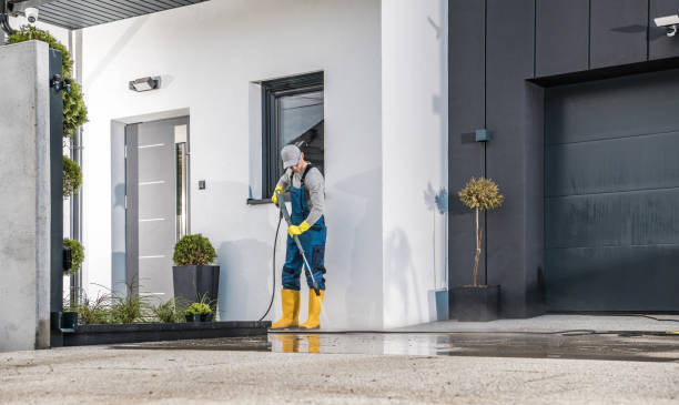 Best Soft Washing  in Pacheco, CA